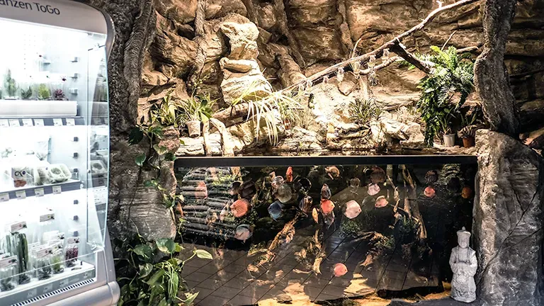 Kölle Zoo Über uns